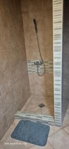 a shower with a blue rug in a bathroom at Levente vendégház in Szilvásvárad +10 photos