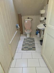 a bathroom with a pink toilet and a sink at Gasthasu Weisses Schäfli in Arbon