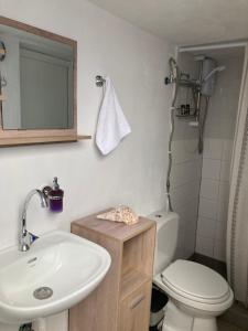 a bathroom with a sink and a toilet and a mirror at Kampi Sea n' View in Fournoi