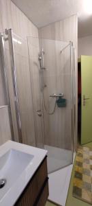 a bathroom with a shower and a sink at Ferienwohnungen Markgraf in Dresden +2 photos