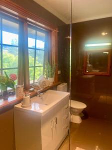 a bathroom with a sink and a toilet and a window at Bodhi Valley BnB in Golden Grove +37 photos