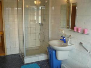 a bathroom with a shower and a sink and a shower at Apartment mit Balkon in Dresden
