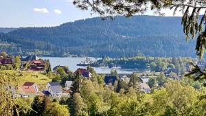 a town on a hill with a lake and trees at Ferienwohnung Mutter in Schluchsee