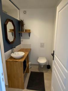 a bathroom with a sink and a toilet at Le Narlay in Le Frasnois