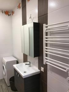 a bathroom with a sink and a toilet and a mirror at Klaipeda Seaside Apartments with self check-in in Klaipėda +20 photos