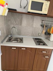 a kitchen with a sink and a microwave at Klancic 10 in Novi Vinodolski