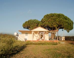 a house with a large tree in front of it at CouCouNaries in Nisís Ánidhro +23 photos