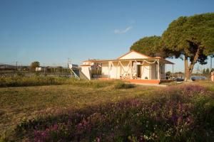 a house on a hill with a field of flowers at CouCouNaries in Nisís Ánidhro