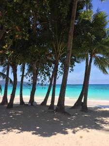 a group of palm trees on a beach at Sundown Beach Studios in Boracay