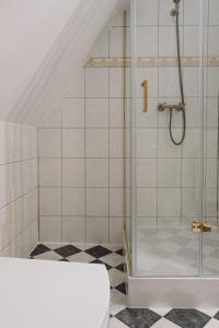 a shower with a glass door in a bathroom at Willa Pałacyk in Świeradów-Zdrój +228 photos