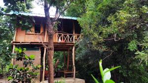 una casa sull'albero in mezzo a una foresta di Sigiriya River Side Villa a Sigiriya