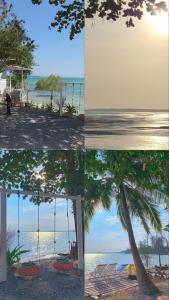 a collage of four pictures of a tree and a swing at Baankonhualamkohlibong in Ko Libong Island