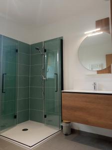 a bathroom with a glass shower and a sink at Gîte du Bois de Drancourt in Drancourt +21 photos