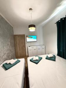 two twin beds in a room with a tv at Apartman VUKAN in Budva +6 photos