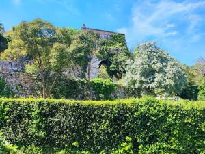 an old stone building behind a hedge at Casa della Fiera 9 in Narni