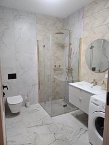 a bathroom with a shower and a toilet and a sink at Cisza nad Kalwą in Pasym