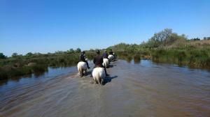 a group of people riding horses across a river at Le Mas d'Icard in Saintes-Maries-de-la-Mer