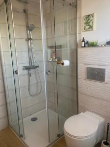 a shower stall with a toilet in a bathroom at River & Forest Escape, Private Garden Room near Ljubljana in Preddvor