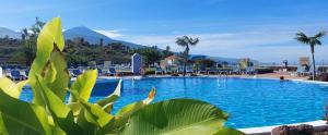 a large swimming pool with a mountain in the background at MC La Quinta in Santa Úrsula