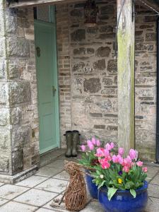 a pair of blue vases with flowers in front of a door at Trevanger Farm Bed and Breakfast in Wadebridge