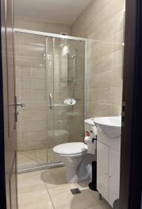 a bathroom with a shower and a toilet and a sink at Casa Noel in Târgu Ocna +17 photos