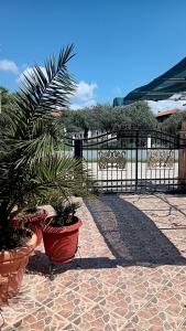 a plant in a red pot sitting next to a fence at Babis House in Limenaria