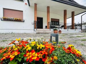 a garden of flowers in front of a building at AlMi House - Colline del Prosecco in Soligo +25 photos