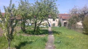 a path in a field with trees and a house at Gîte, Vintage Touch in Hannonville-sous-les-Côtes