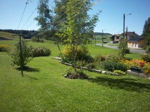 a garden with a tree in the middle of a yard at Gites familiaux à Lajoux à 1180m d'altitude in Lajoux +2 photos