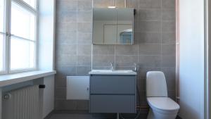 a bathroom with a toilet and a sink and a mirror at Villa Karijoki in Karijoki