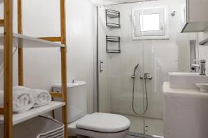 a bathroom with a shower and a toilet and a sink at Villa Theros in Ierapetra +33 photos
