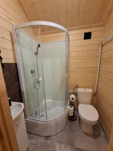 a bathroom with a shower and a toilet at Chata Zbója - Sidzina in Sidzina +15 photos