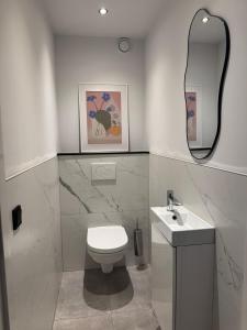 ein Badezimmer mit Toilette, Waschbecken und Spiegel in der Unterkunft Boulevard 3E in Arnhem