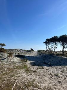 a field with trees on a hill with a blue sky at Casa Antonietta in Santa Lucia