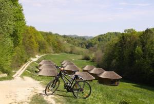 a bike parked in front of a field with thatch huts at Glamping Bionic healing village in Slovenska Bistrica +42 photos