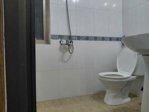 a bathroom with a white toilet and a shower at Gia Cat Long Boutique Hotel Cat Ba in Cat Ba +25 photos