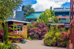 a garden center with a bunch of plants at Muthiga Garden Resort Chaka in Nyeri