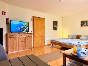 a bedroom with a bed and a flat screen tv at Apartment Bayerischer Wald - Ferienwohnung mit Küche, Parkplatz, WLAN & 24h Checkin in Waffenbrunn