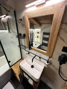 a bathroom with a sink and a mirror at Chalet-Kitzalpen in Hollersbach im Pinzgau +15 photos