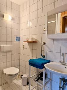 a bathroom with a toilet and a sink at Apartment Bayerischer Wald - Ferienwohnung mit Küche, Parkplatz, WLAN & 24h Checkin in Waffenbrunn