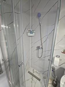a shower with a glass door in a bathroom at Lone Star Apartments in Gusinje +44 photos