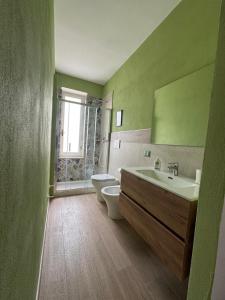a green bathroom with a toilet and a sink at Vintage House in Asciano +20 photos