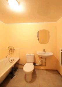 a bathroom with a toilet and a sink and a tub at Halvy 60 Apartments in Cherkasy