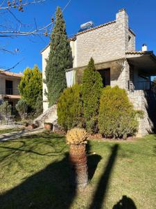 a house with a tree in the yard at Wave Rider Villa in Kouvéla