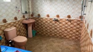 a bathroom with a pink toilet and a sink at Madu Guest in Nuwara Eliya