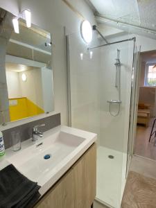 a bathroom with a sink and a shower at Studio cosy avec jardin privé - Proche de tout ! in Montbard