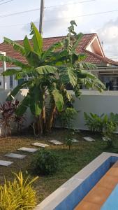 a banana tree in front of a house at Beautiful accommodation on Lipa Noi in Nathon Bay