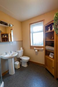 a bathroom with a sink and a toilet and a window at Havrock in Orkney +65 photos