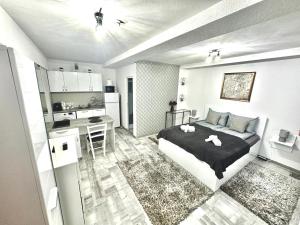 a bedroom with a bed and a desk in it at NextSpace Nr 2 in Sfântu-Gheorghe