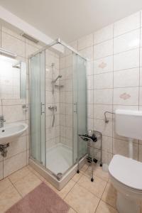 a bathroom with a shower and a toilet and a sink at Rooms Hrominc in Bled +37 photos